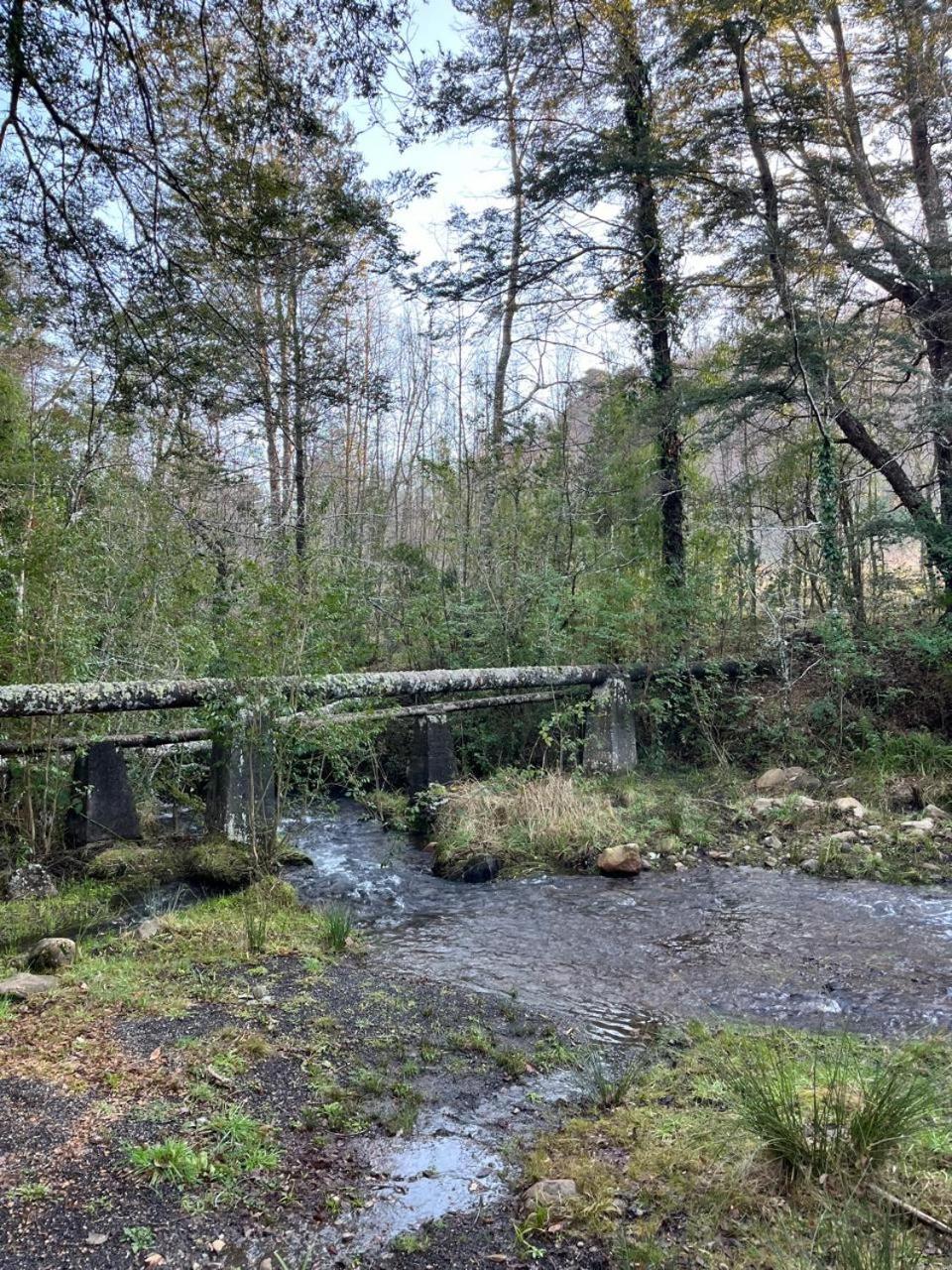 Chalet El Manzano